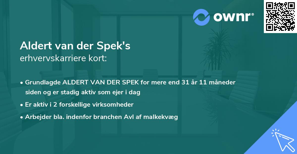 Aldert van der Spek's erhvervskarriere kort