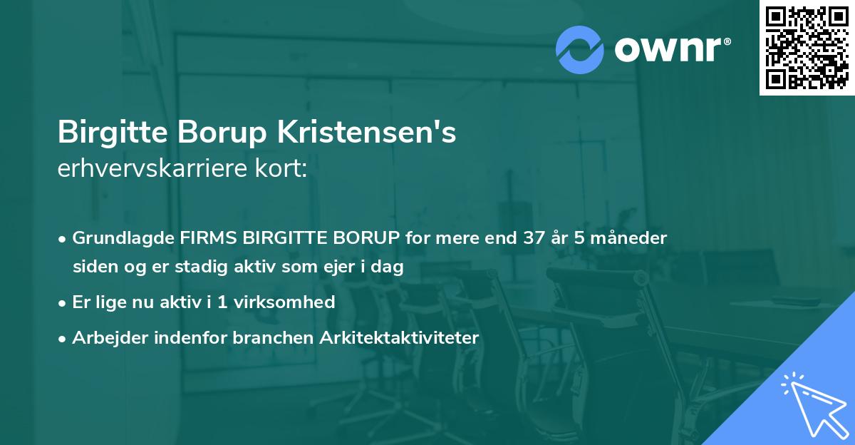 Birgitte Borup Kristensen's erhvervskarriere kort