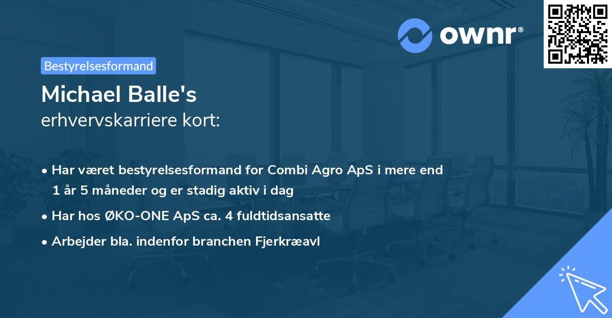 Michael Balle's erhvervskarriere kort