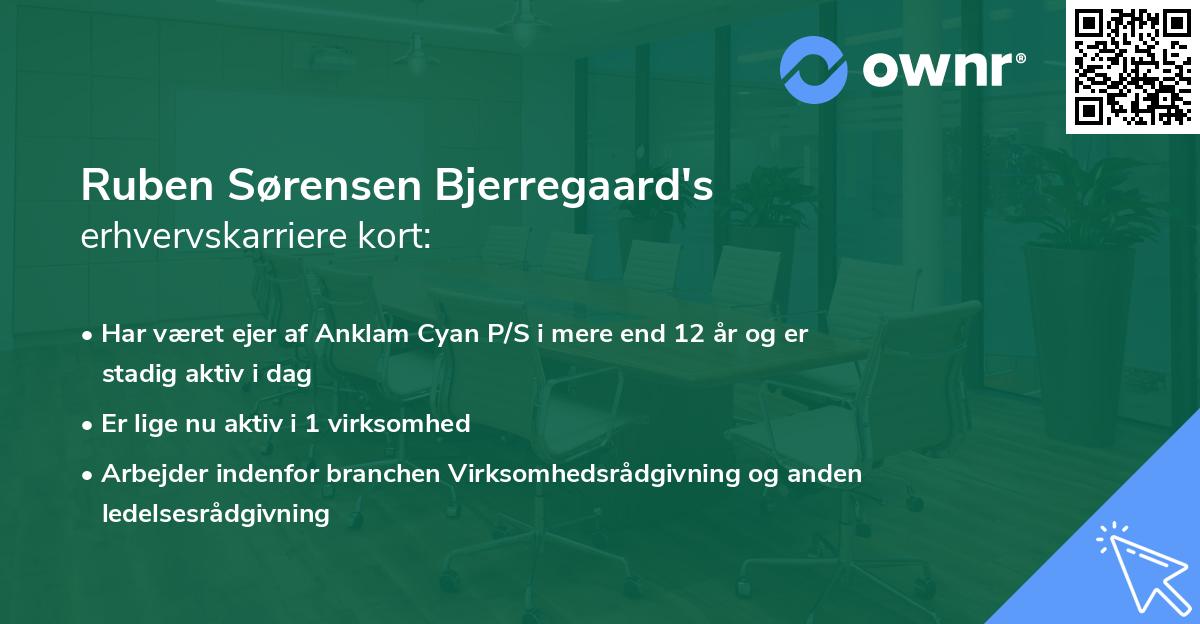 Ruben Sørensen Bjerregaard's erhvervskarriere kort