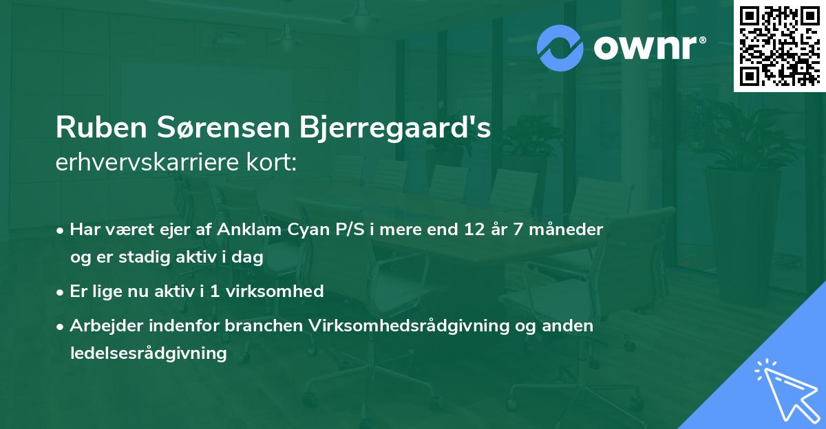 Ruben Sørensen Bjerregaard's erhvervskarriere kort