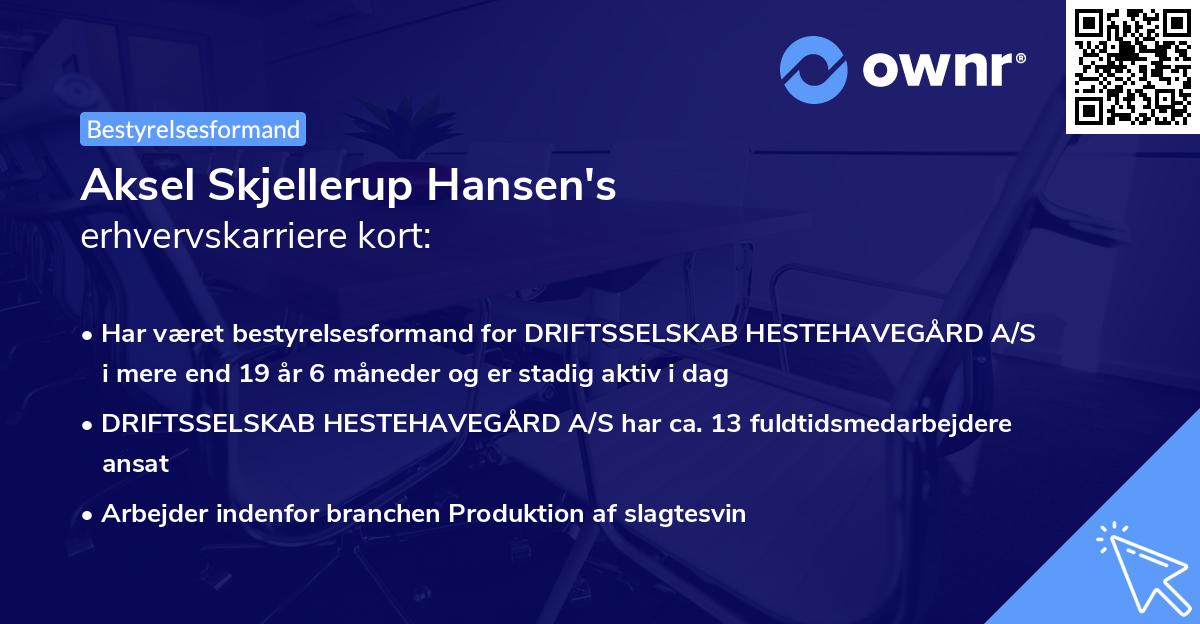 Aksel Skjellerup Hansen's erhvervskarriere kort