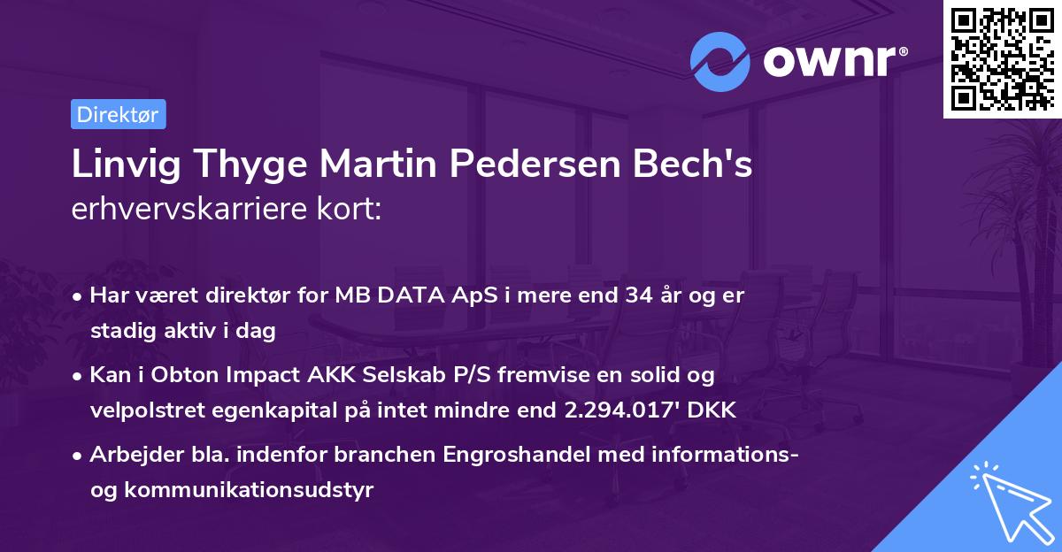 Linvig Thyge Martin Pedersen Bech's erhvervskarriere kort