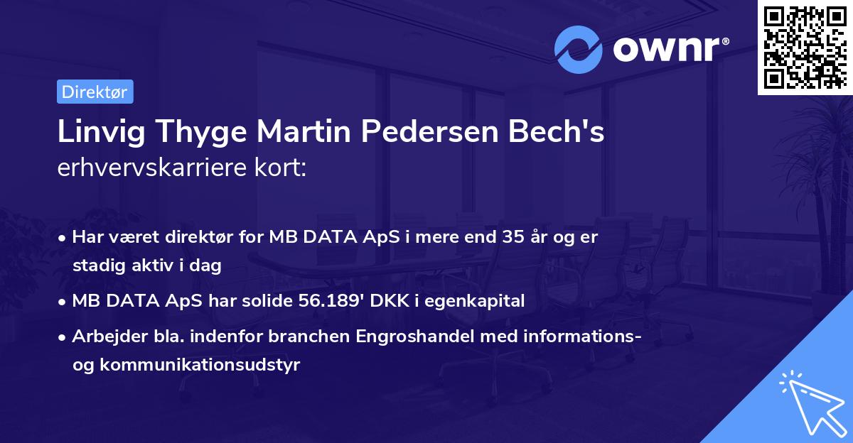Linvig Thyge Martin Pedersen Bech's erhvervskarriere kort