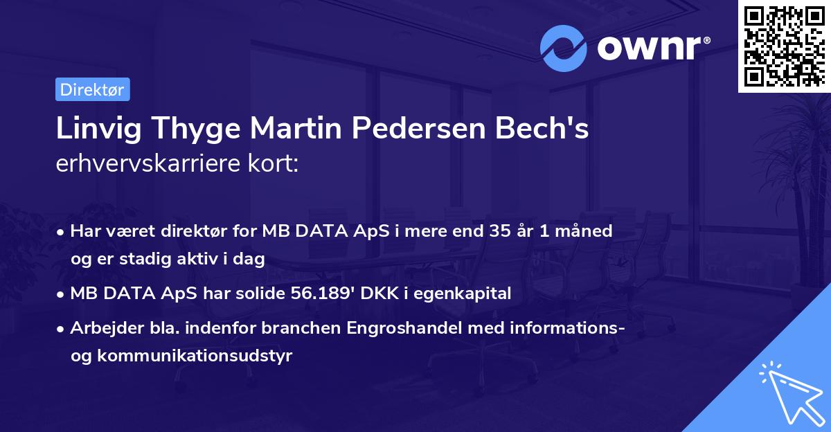 Linvig Thyge Martin Pedersen Bech's erhvervskarriere kort