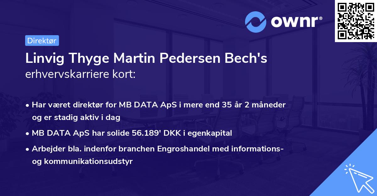 Linvig Thyge Martin Pedersen Bech's erhvervskarriere kort