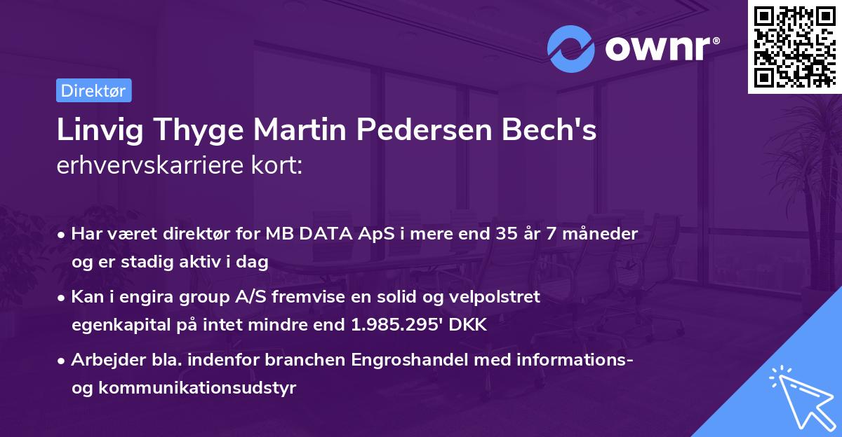 Linvig Thyge Martin Pedersen Bech's erhvervskarriere kort