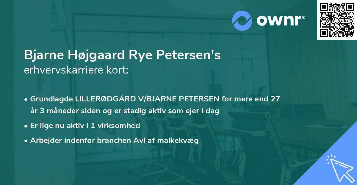 Bjarne Højgaard Rye Petersen's erhvervskarriere kort