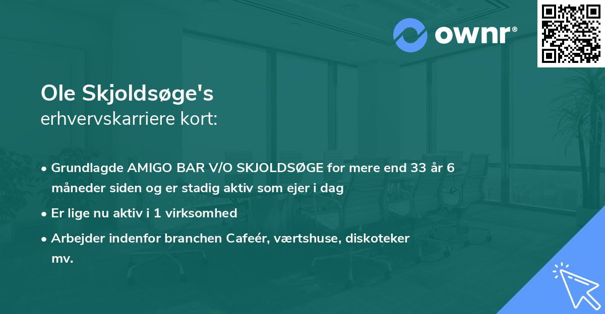 Ole Skjoldsøge's erhvervskarriere kort