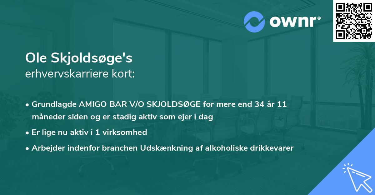 Ole Skjoldsøge's erhvervskarriere kort