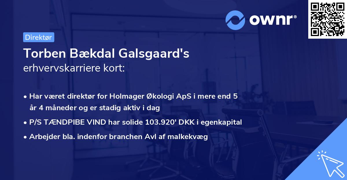 Torben Bækdal Galsgaard's erhvervskarriere kort
