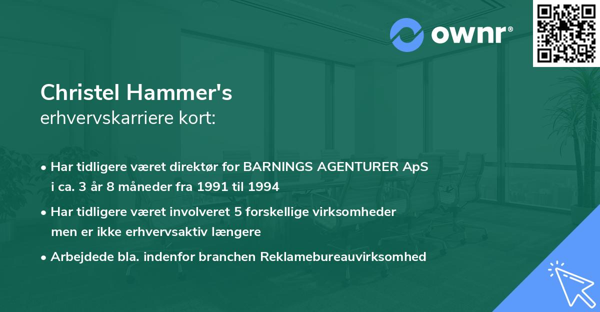 Christel Hammer's erhvervskarriere kort