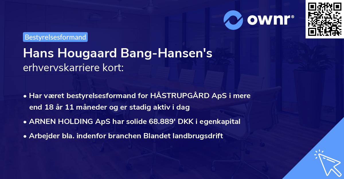 Hans Hougaard Bang-Hansen's erhvervskarriere kort