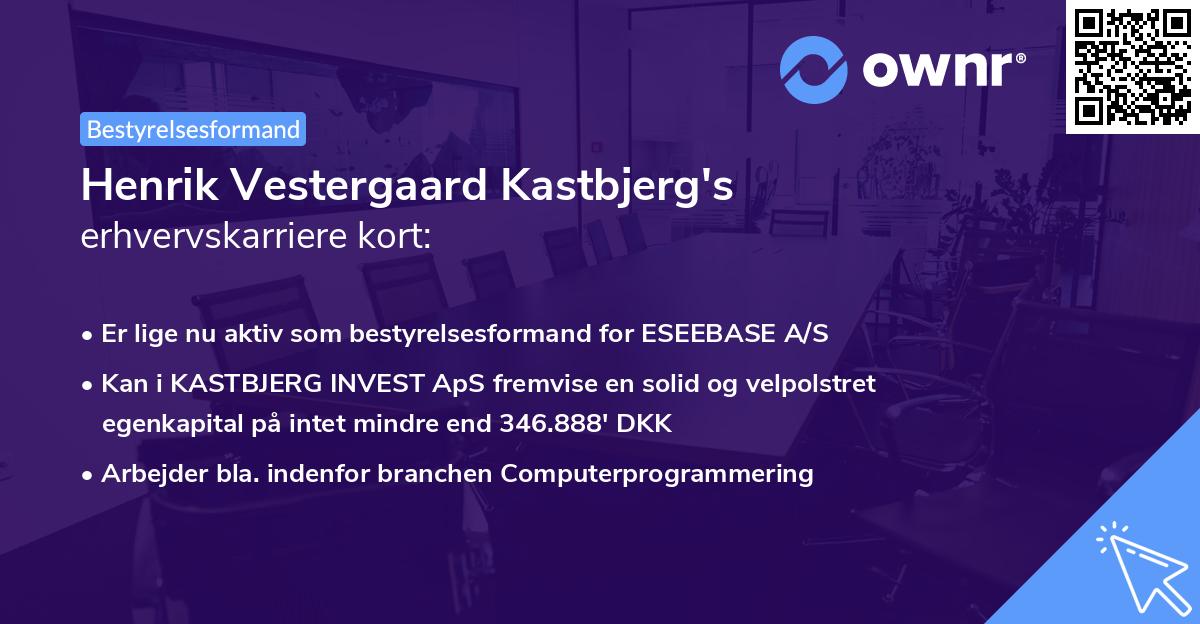 Henrik Vestergaard Kastbjerg's erhvervskarriere kort