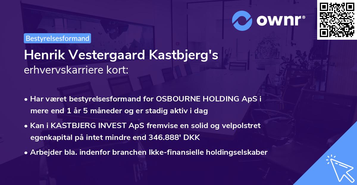 Henrik Vestergaard Kastbjerg's erhvervskarriere kort