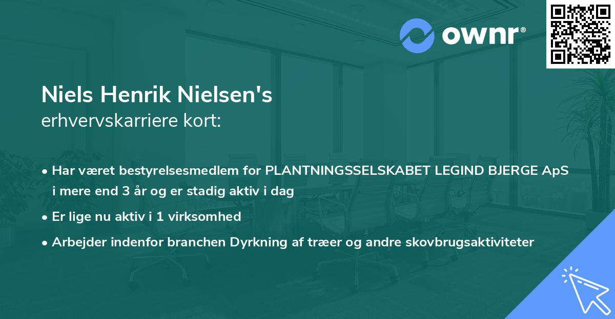 Niels Henrik Nielsen's erhvervskarriere kort