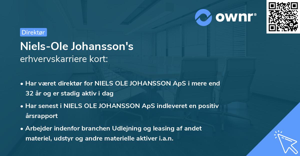 Niels-Ole Johansson's erhvervskarriere kort