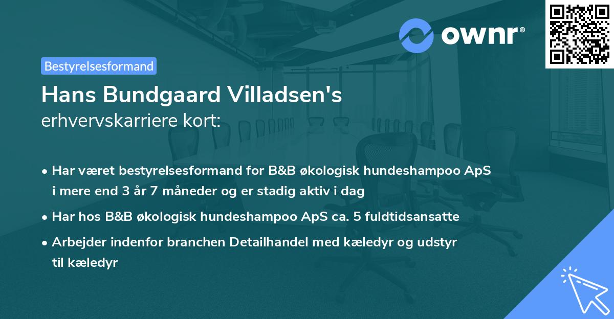 Hans Bundgaard Villadsen's erhvervskarriere kort