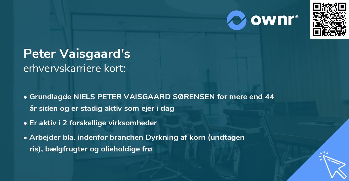 Peter Vaisgaard's erhvervskarriere kort
