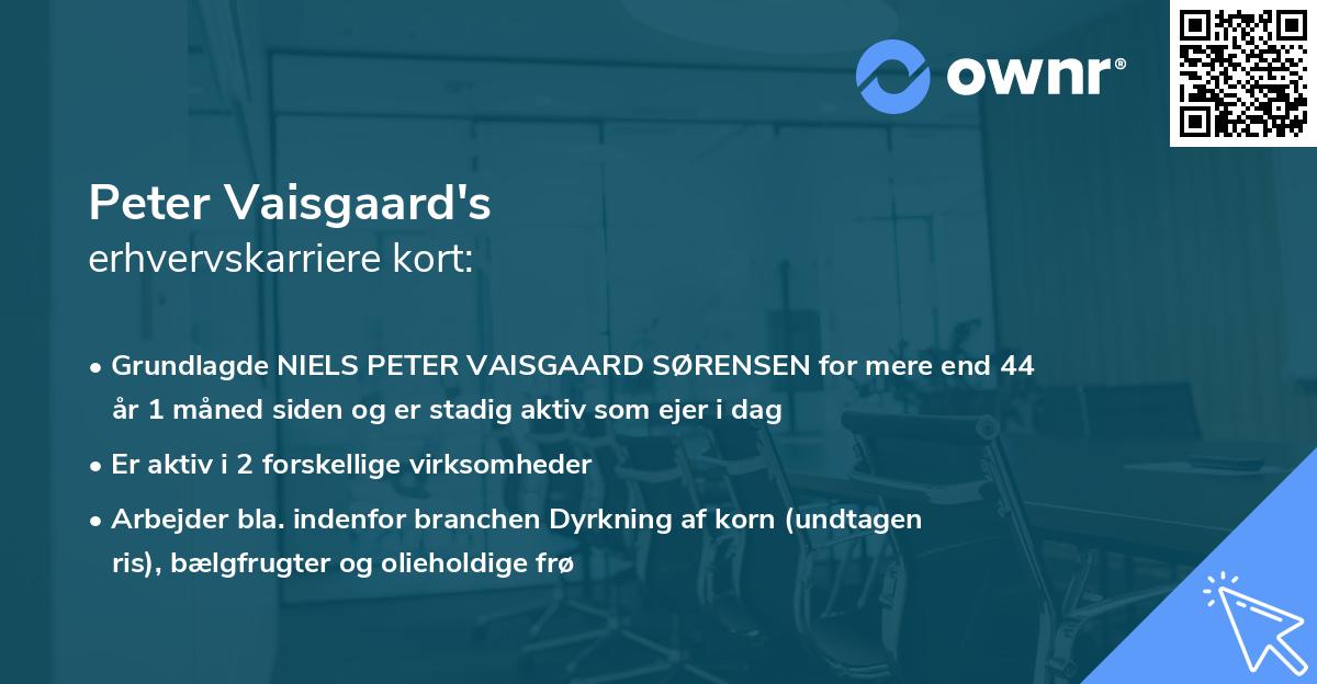Peter Vaisgaard's erhvervskarriere kort