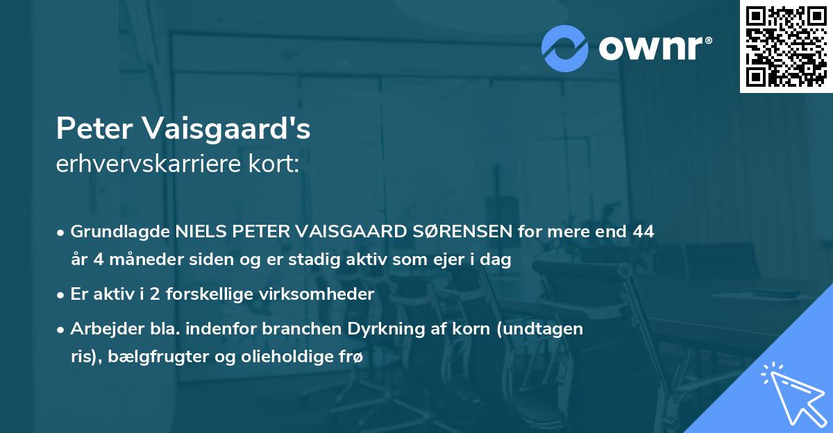 Peter Vaisgaard's erhvervskarriere kort