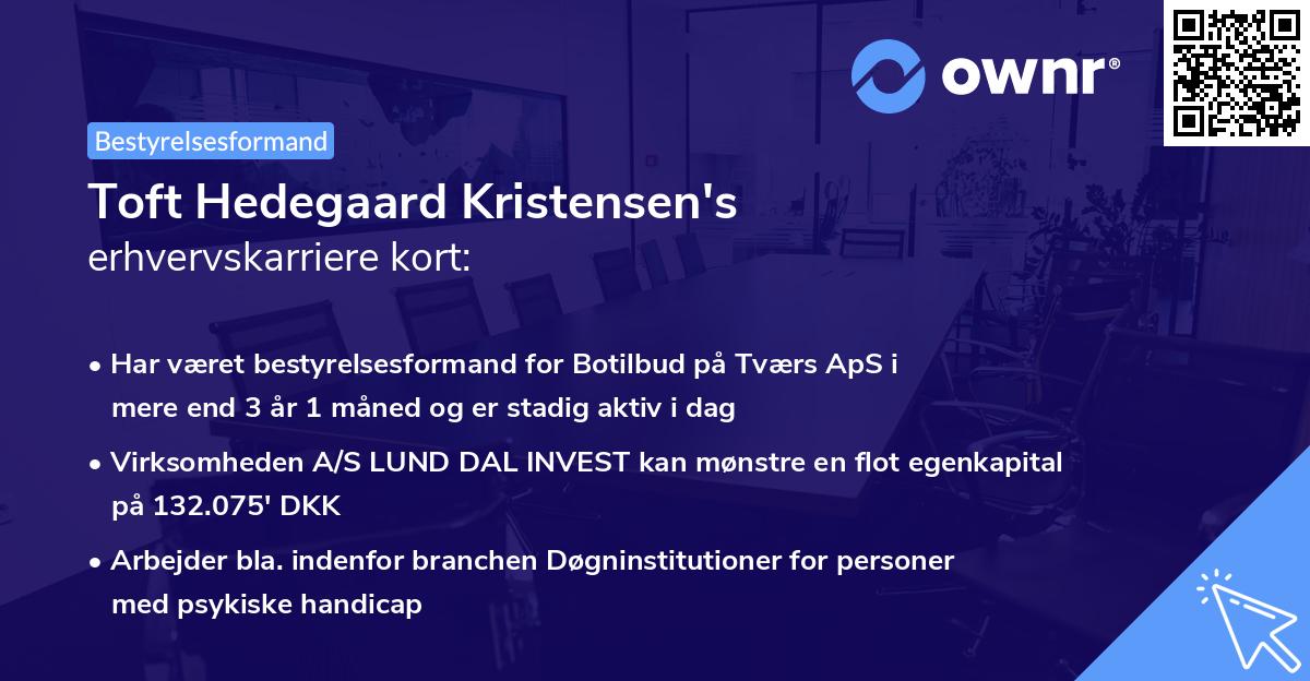 Toft Hedegaard Kristensen's erhvervskarriere kort