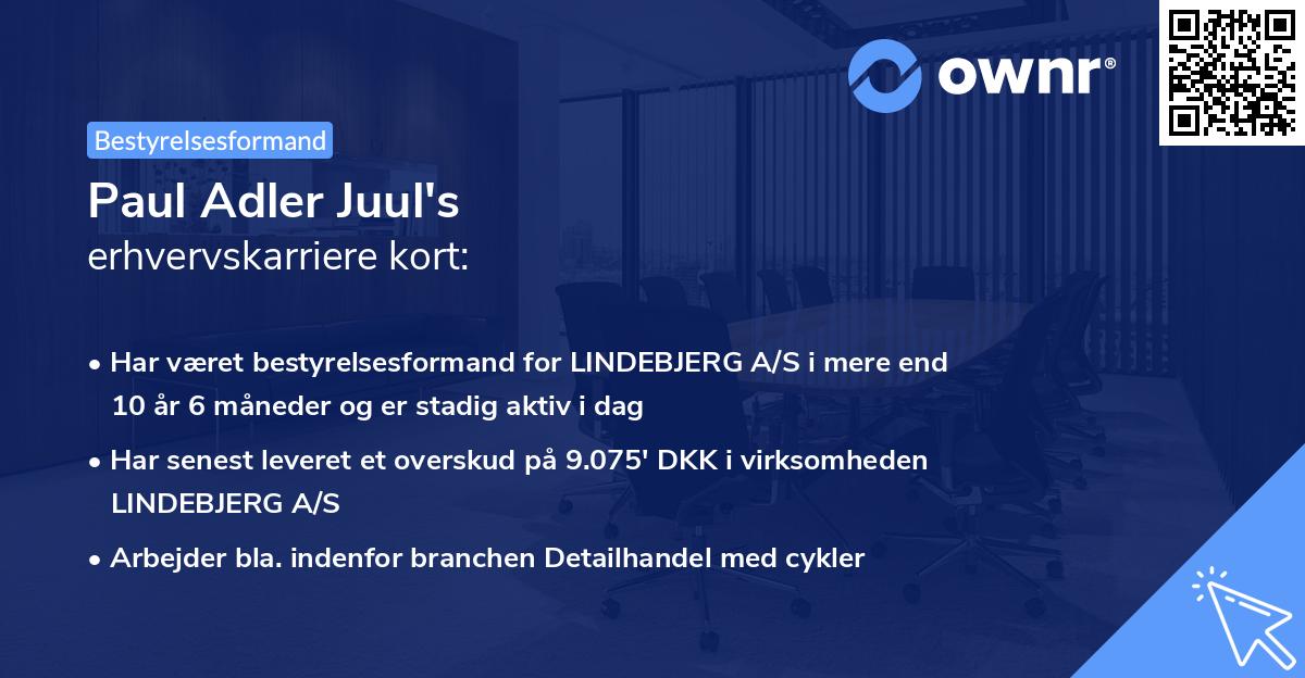 Paul Adler Juul's erhvervskarriere kort