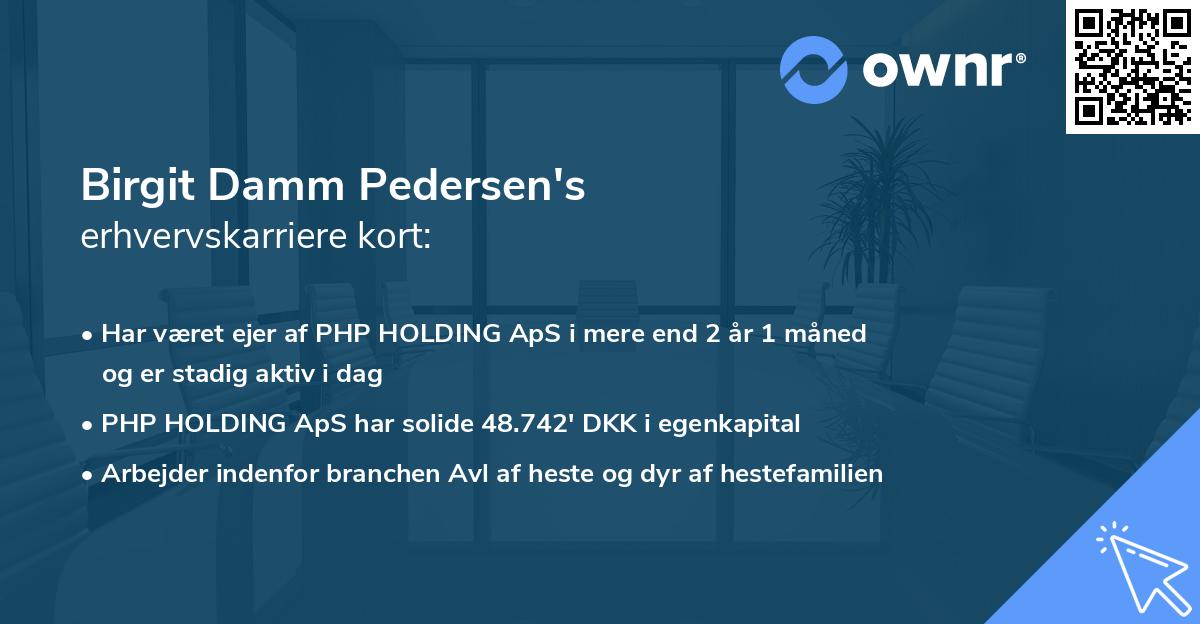 Birgit Damm Pedersen's erhvervskarriere kort