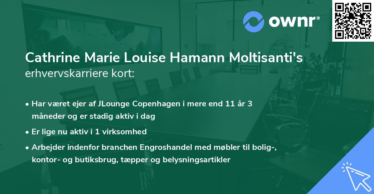 Cathrine Marie Louise Hamann Moltisanti's erhvervskarriere kort