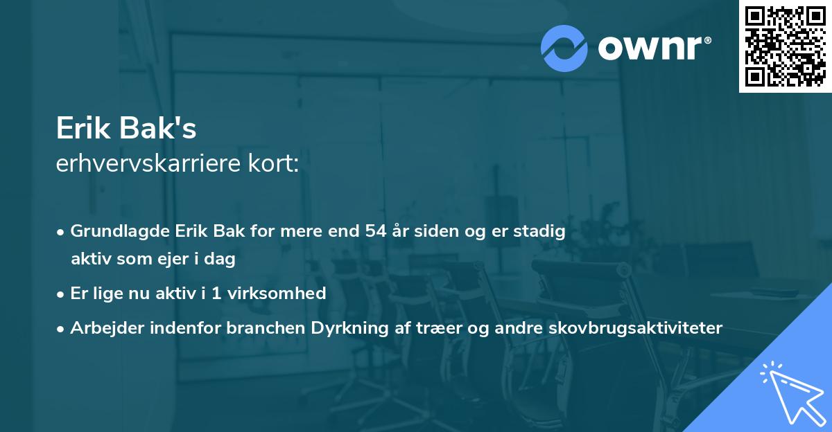 Erik Bak's erhvervskarriere kort