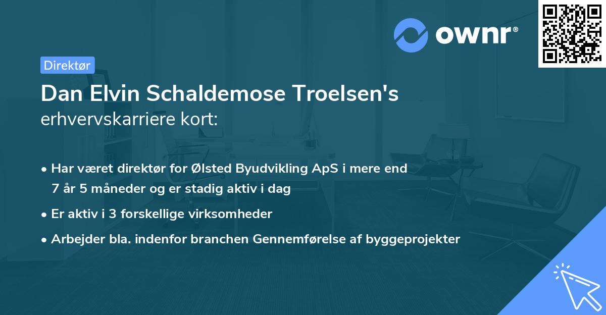 Dan Elvin Schaldemose Troelsen's erhvervskarriere kort