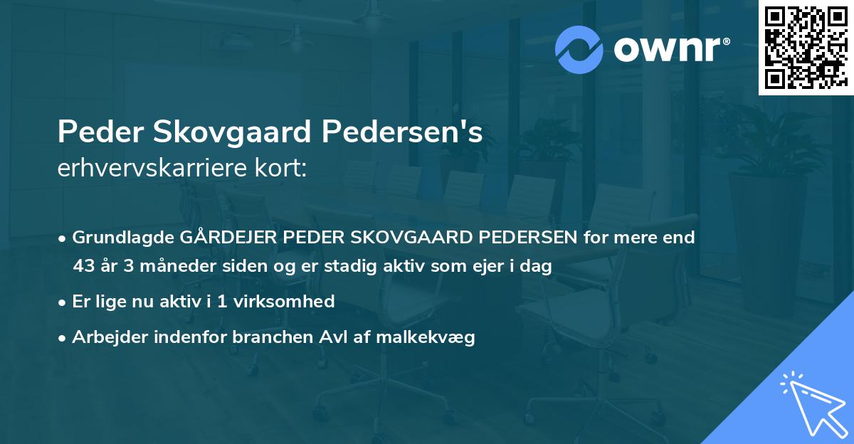 Peder Skovgaard Pedersen's erhvervskarriere kort