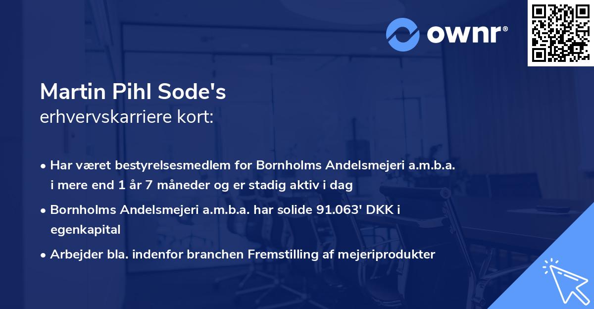Martin Pihl Sode's erhvervskarriere kort