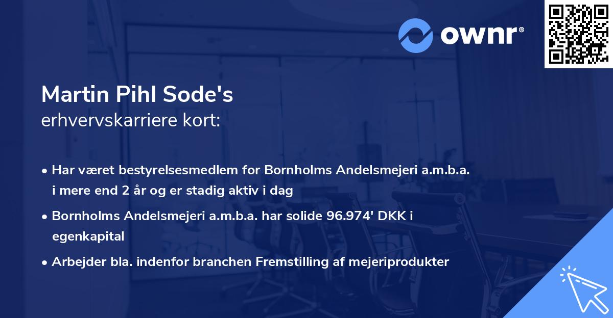 Martin Pihl Sode's erhvervskarriere kort
