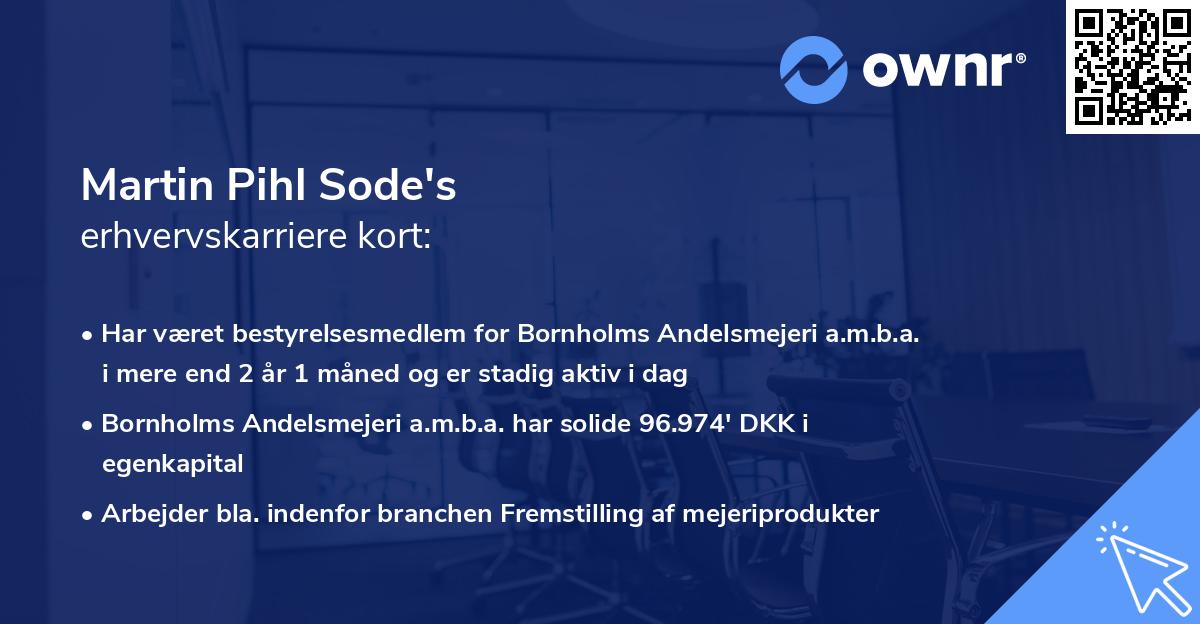 Martin Pihl Sode's erhvervskarriere kort