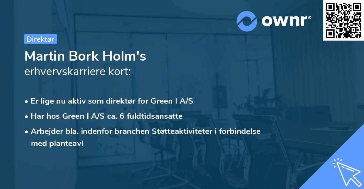 Martin Bork Holm's erhvervskarriere kort