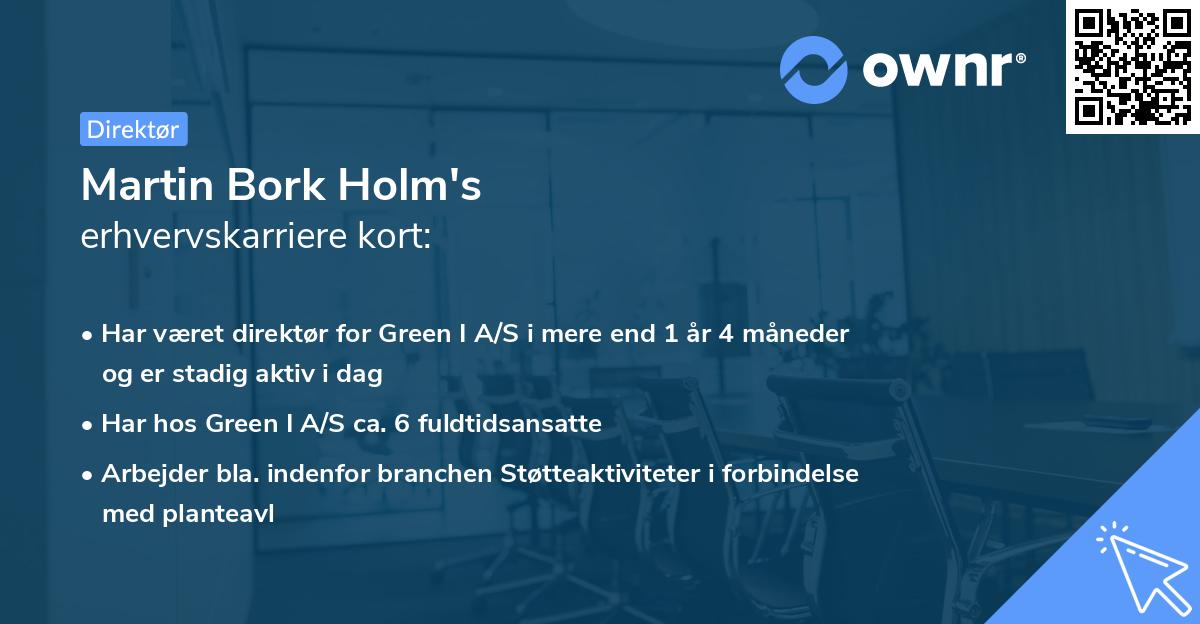 Martin Bork Holm's erhvervskarriere kort
