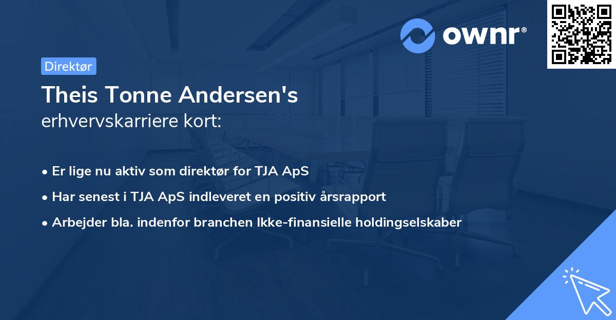Theis Tonne Andersen's erhvervskarriere kort