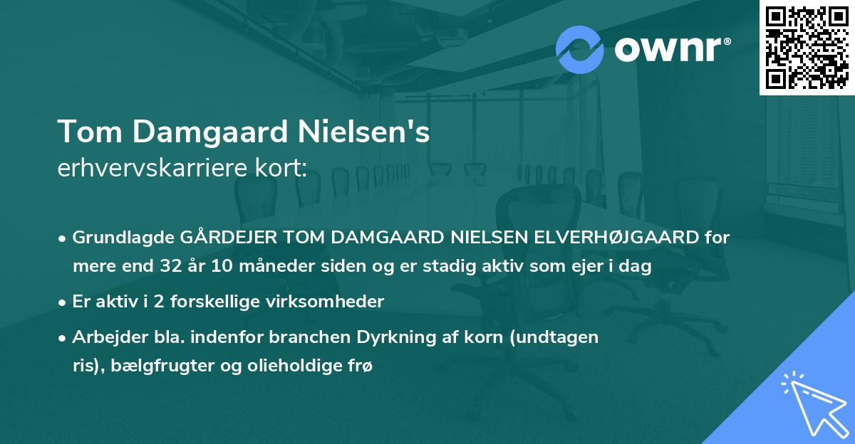 Tom Damgaard Nielsen's erhvervskarriere kort