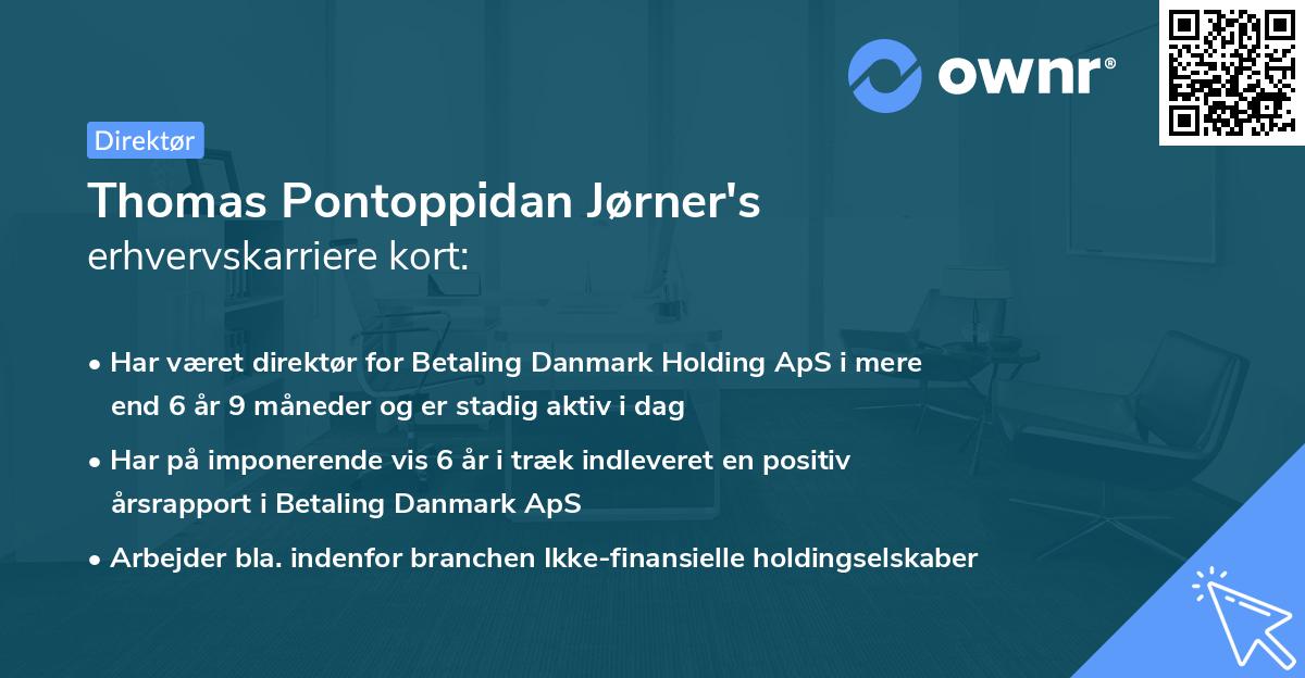 Thomas Pontoppidan Jørner's erhvervskarriere kort