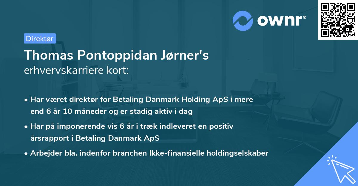 Thomas Pontoppidan Jørner's erhvervskarriere kort