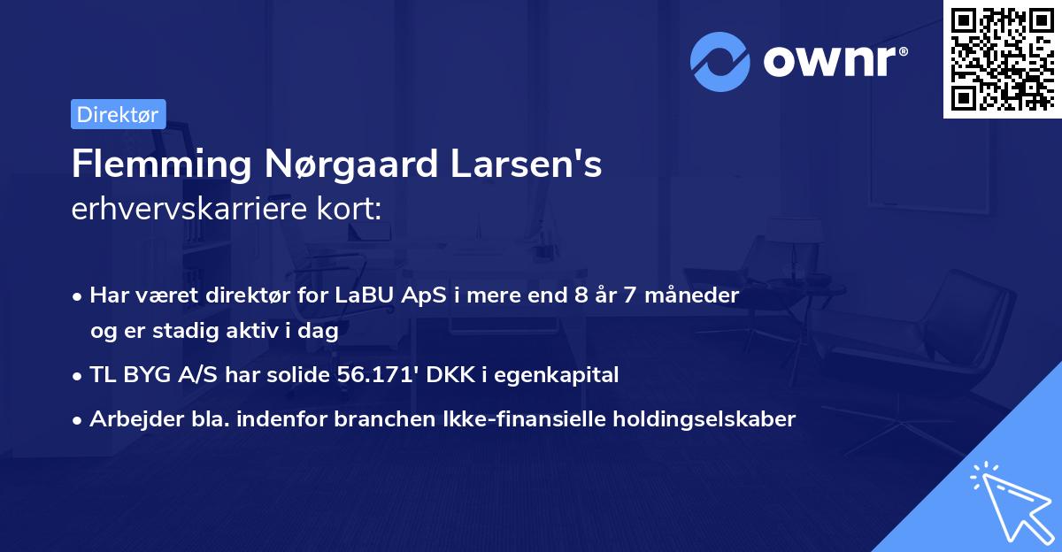 Flemming Nørgaard Larsen's erhvervskarriere kort