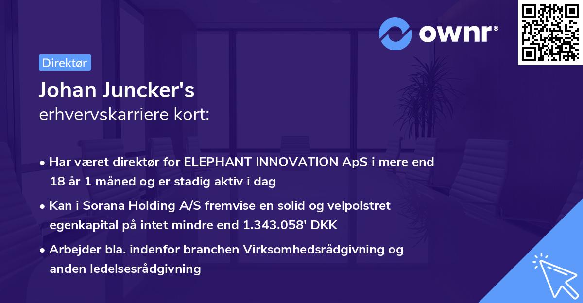 Johan Juncker's erhvervskarriere kort