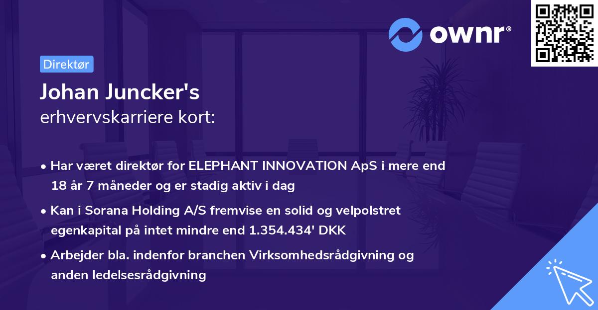 Johan Juncker's erhvervskarriere kort