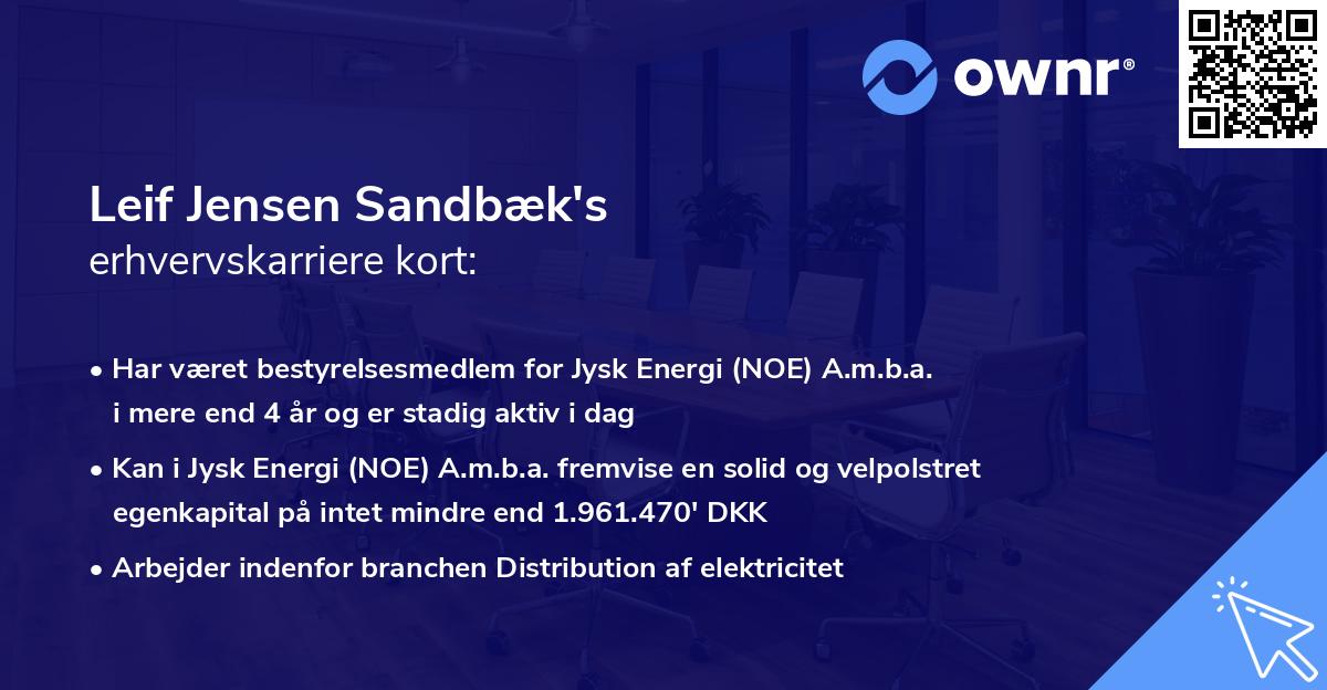 Leif Jensen Sandbæk's erhvervskarriere kort