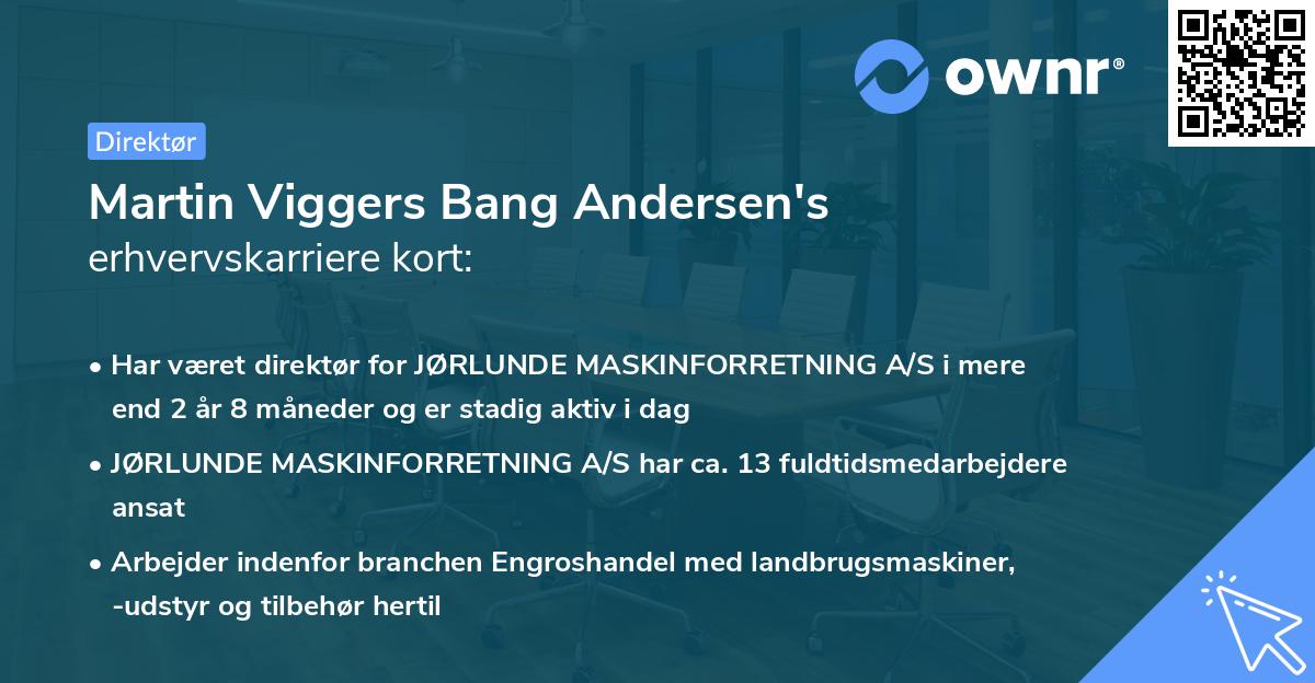 Martin Viggers Bang Andersen's erhvervskarriere kort