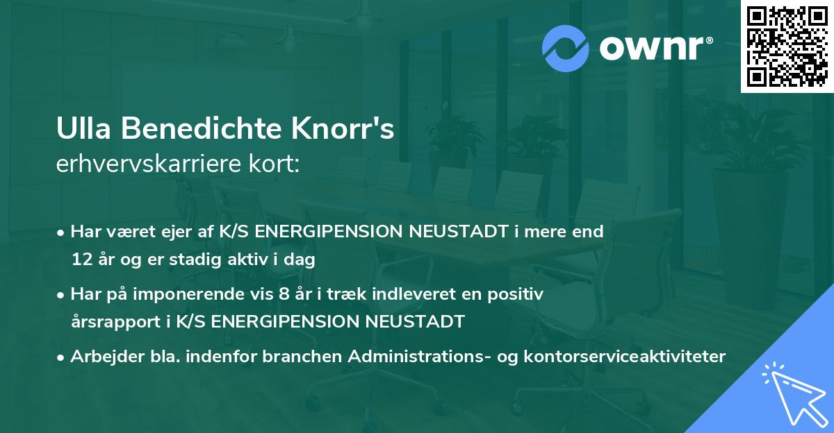 Ulla Benedichte Knorr's erhvervskarriere kort