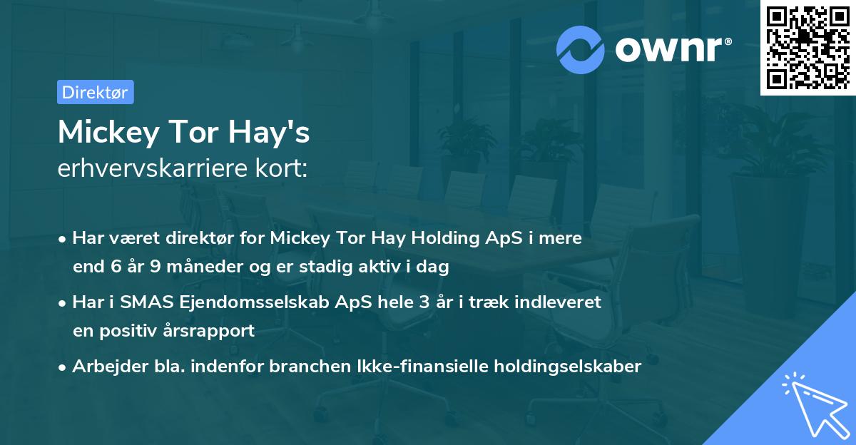 Mickey Tor Hay's erhvervskarriere kort
