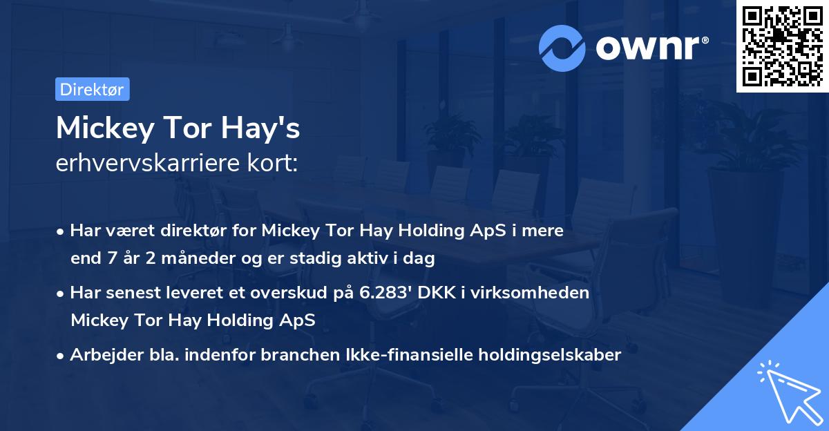 Mickey Tor Hay's erhvervskarriere kort