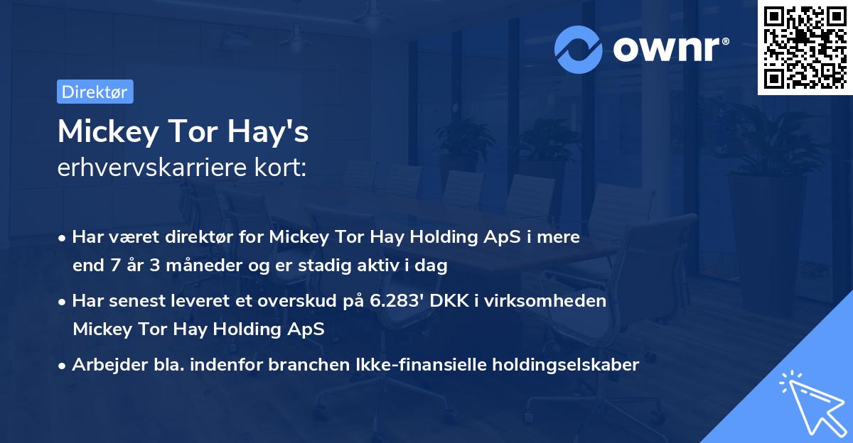 Mickey Tor Hay's erhvervskarriere kort